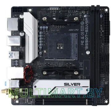 Материнская плата BIOSTAR B550T-SILVER Ver. 5.0